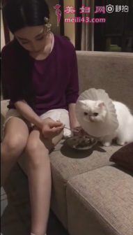 范冰冰穿古装喂猫吃饭自嘲是阿姨 网友：人不如猫