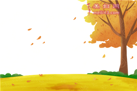会响的小路故事