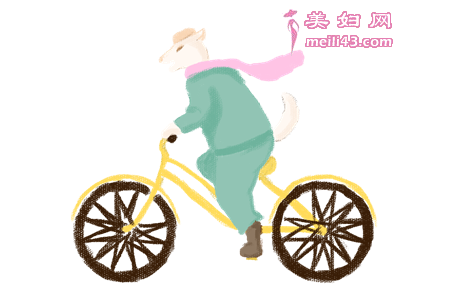 豆豆的新车故事