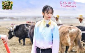 Angelababy晒小海绵视频花式催婚 小海绵竟把baby弟弟叫哥哥？
