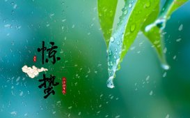 ھݵʫʫ