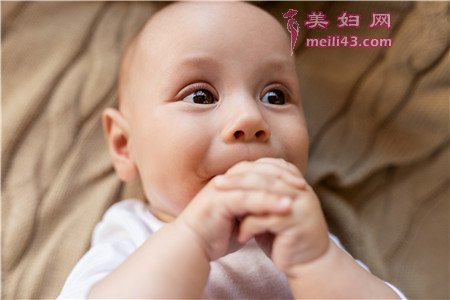 2021年牛宝宝英文Ru名