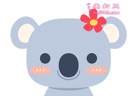 一只考拉熊的故事