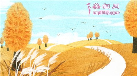 故事落叶的烦恼