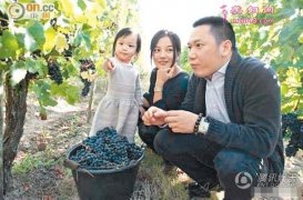 赵薇身家暴涨至44.5亿 可买4.3亿个汉堡包