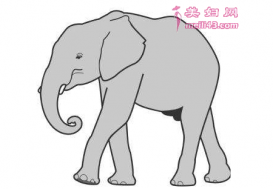 Ĺµ