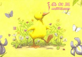 不听劝告的故事