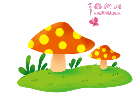 蝴蝶飞呀飞故事