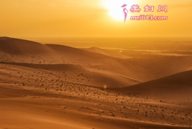 太阳公公请午睡的故事