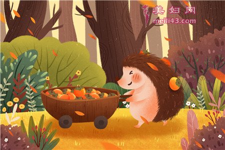 小刺猬与长颈鹿故事