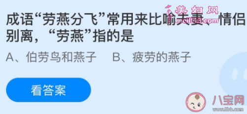 劳燕分飞是什么意思劳燕指的是什么 劳燕分飞典故介绍 