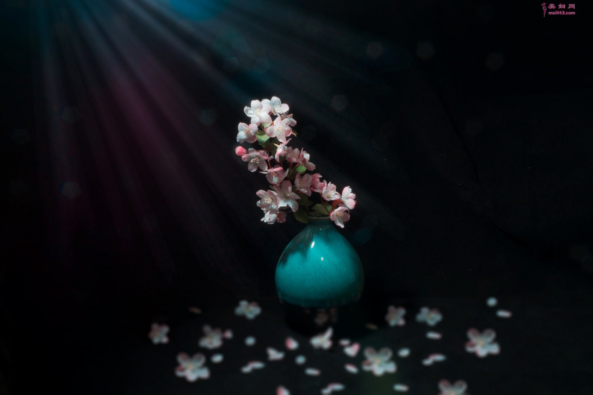 虞美人雨后同干誉才卿置酒来禽花下作拼音版