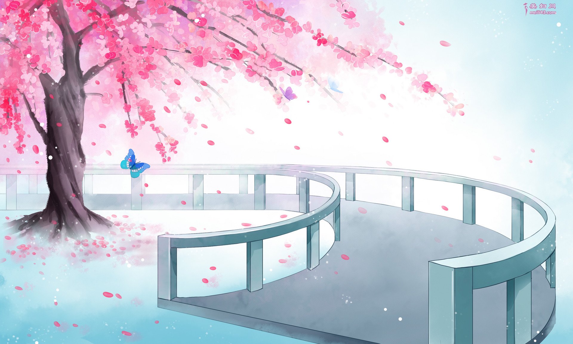 虞美人雨后同干誉才卿置酒来禽花下作拼音版