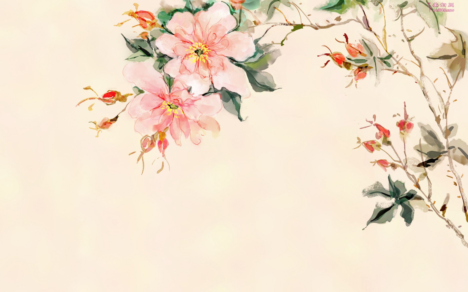 һ괺¶ƴ һ괺¶