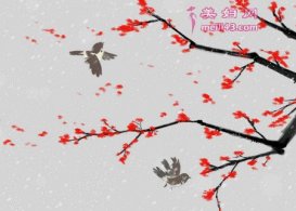 һֻͿСȸ