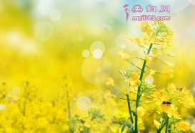 Сƻõ廨Ĺ