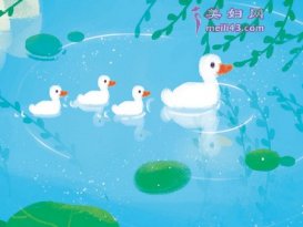 小鸭子洗澡的故事