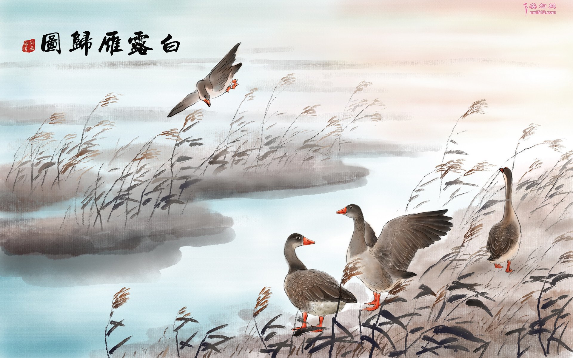 长亭怨慢·雁诗歌鉴赏