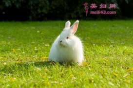 不怕冷的大衣故事内容