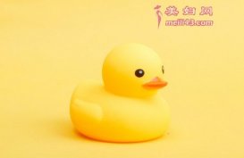 扁嘴巴小鸭子的故事