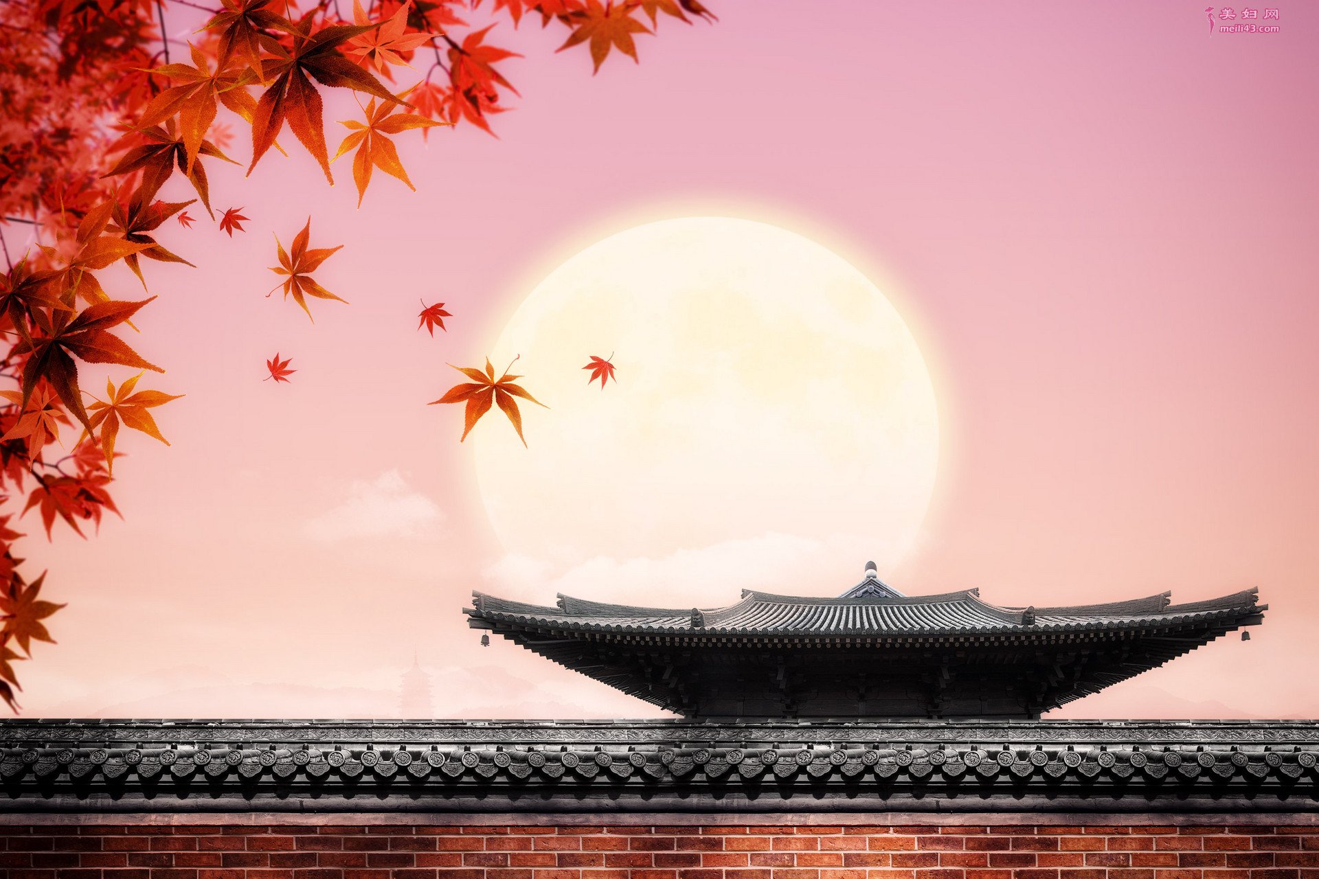 ¥ƴ
