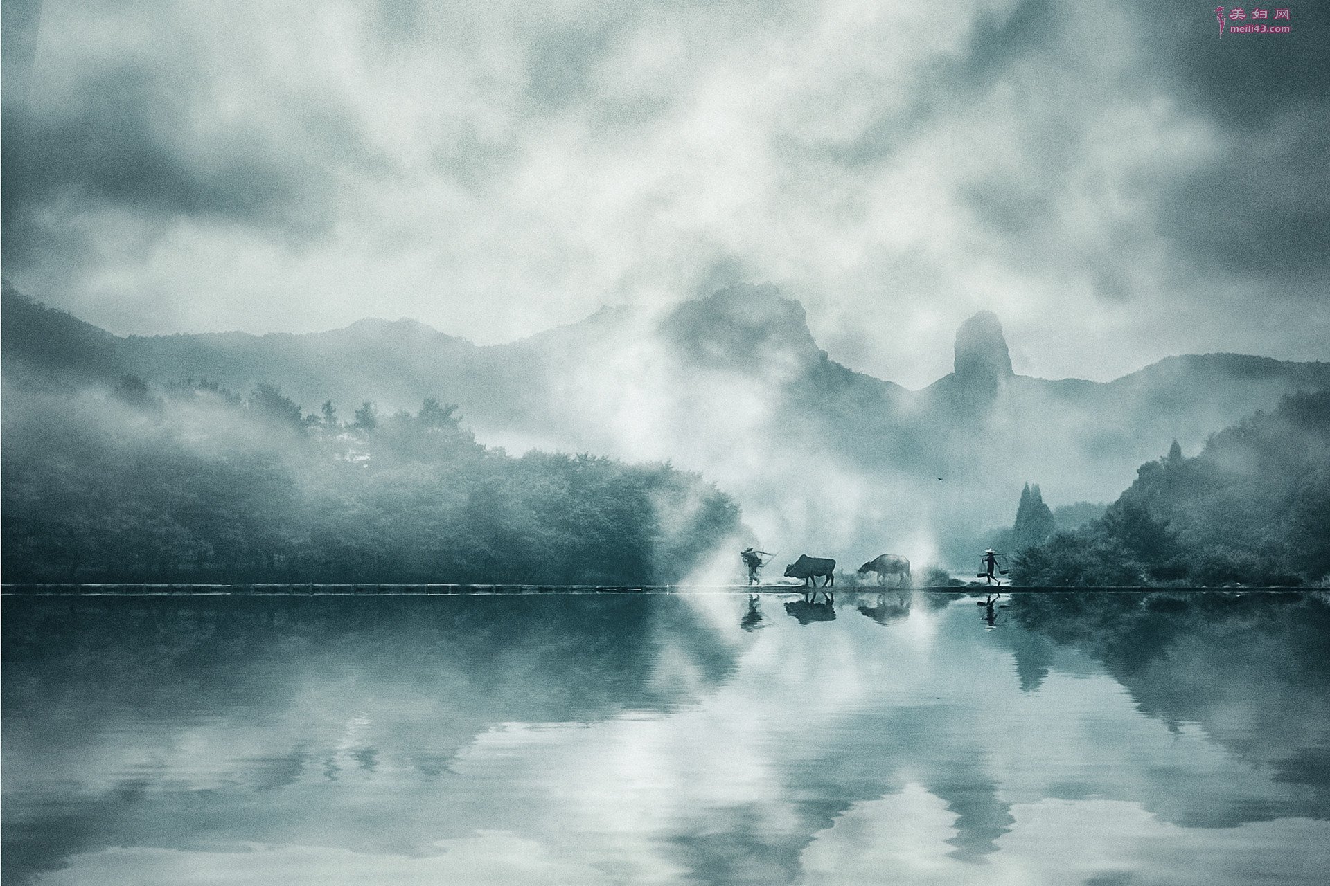겡¬ƴ 겡˷