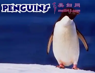 ӱؿ8ƬЩ