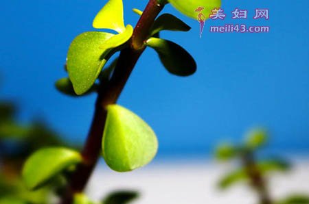 听儿歌app排行榜2