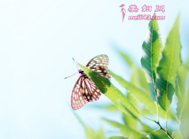 ʵһ˯ǰ